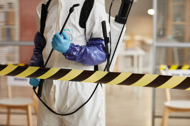 Professional Blood Cleanup technician working in Mead, CO